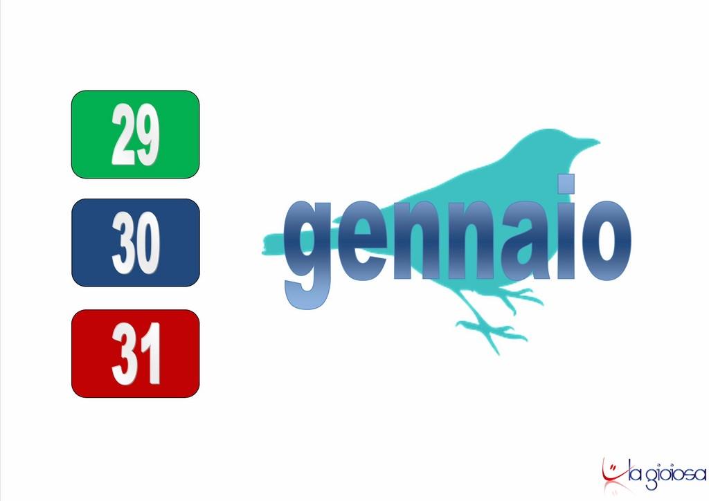 igiornidellamerla 2