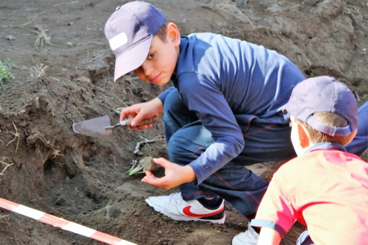 primaria0227854211 _com.jpg